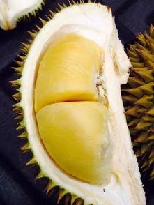 黑莲吃瓜后续,揭秘娱乐圈背后的秘密与真相