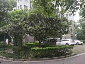瓜渚风情自由行热门攻略,畅游江南水乡，尽享诗意之旅