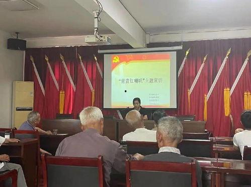 明星网红活动出场顺序,精彩出场顺序大揭秘