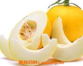 伊丽莎白瓜今日价格表,新鲜上市，品质保证