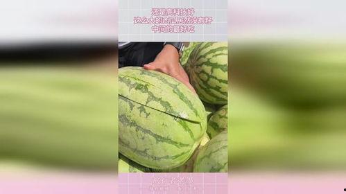 什么瓜带黑籽儿吃最好,营养美味，食用指南揭秘
