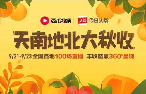 汉中今日头条卖瓜,新鲜瓜果热销，尽享夏日清凉时光