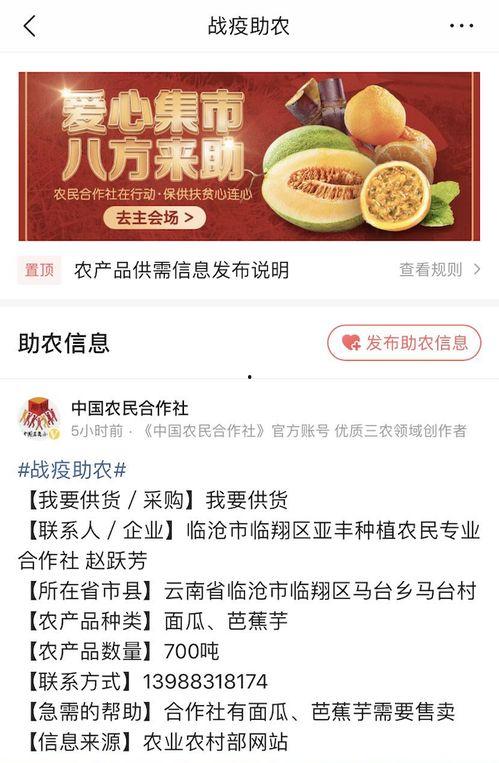汉中今日头条卖瓜,新鲜瓜果热销，尽享夏日清凉时光
