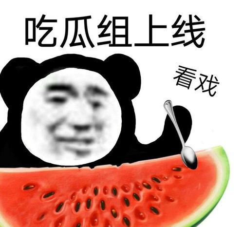 黑料吃大瓜,黑料大瓜背后的真相与内幕