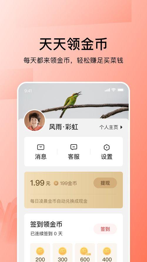 今日头条的蜜瓜,探索夏日清新果实的甜蜜奥秘