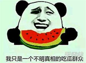 吃黑瓜是什么意思,揭秘“吃黑瓜”的趣味内涵与流行文化现象