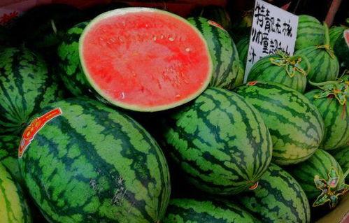 今日广州瓜价格最新行情,夏日鲜甜，价格波动一览