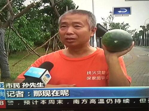 近期热门吃瓜事件哪里看,各大平台实时追踪