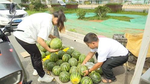 汝州黑妮吃瓜,揭秘吃瓜群众的独特魅力