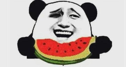 黑尾吃瓜吧唧,揭秘动物界的趣味食趣
