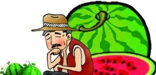 热门大瓜云南话怎么说,趣味解读本土热点事件