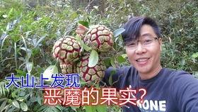 户外黑哥吃瓜,揭秘街头巷尾的热辣话题