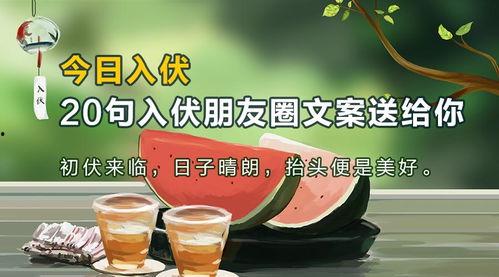 小瓜水饺的文案热门句子,美味瞬间，温暖心间