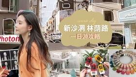 韩国明星网红商店在哪,韩国明星网红热门商店探秘指南