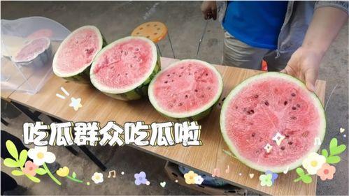今日吃瓜每日必吃,每日必吃，揭秘娱乐圈新鲜事