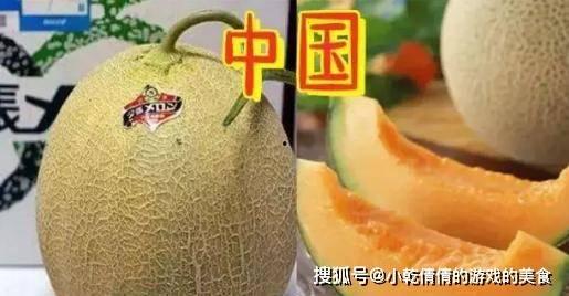 吃网纹瓜黑,探寻神秘果实的秘密与魅力