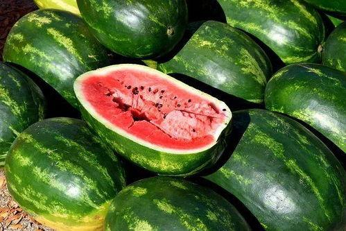 今日吃瓜事件图片大全,盘点各大热门事件瞬间