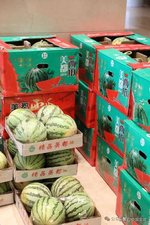 沧州保定吃瓜最新事件爆料,揭秘最新网络热议焦点