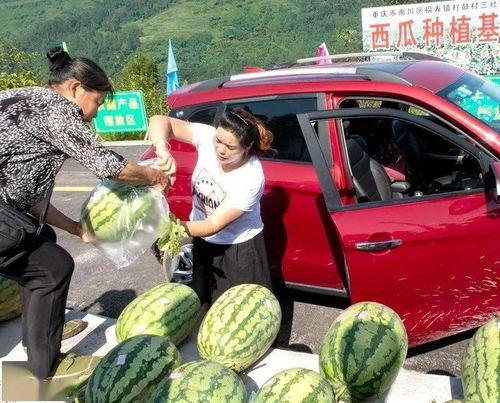 来宾市吃瓜群众爆料视频,吃瓜群众爆料视频，揭秘当地新鲜事