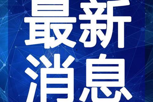 王嘉尔最新吃瓜爆料视频,揭秘娱乐圈不为人知的幕后故事