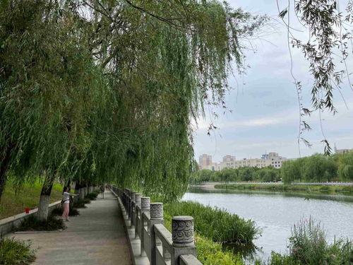 今日下桥毛瓜价格,市场行情实时解析