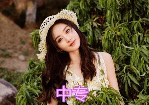学历不高的明星网红,揭秘网红明星的逆袭之路”