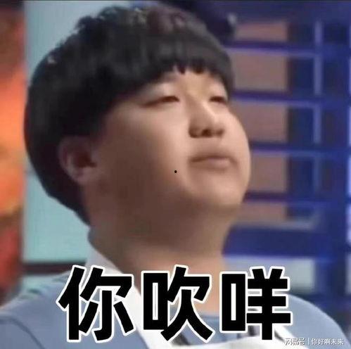 恶搞明星网红表情包,明星们的“另类”风采