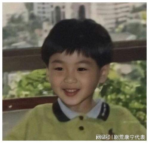 霸凌的明星网红,揭秘霸凌事件中的明星网红真相