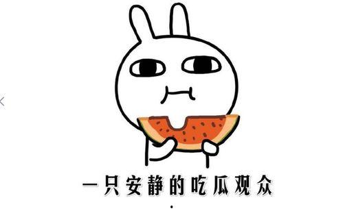 快手网红吃瓜热门事件,揭秘网络红人背后的真相与争议