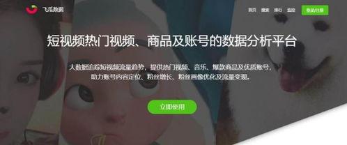 飞瓜抖音热门音乐,飞瓜带你领略潮流旋律