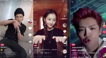 明星网红视频免费观看,免费观看，尽享娱乐潮流