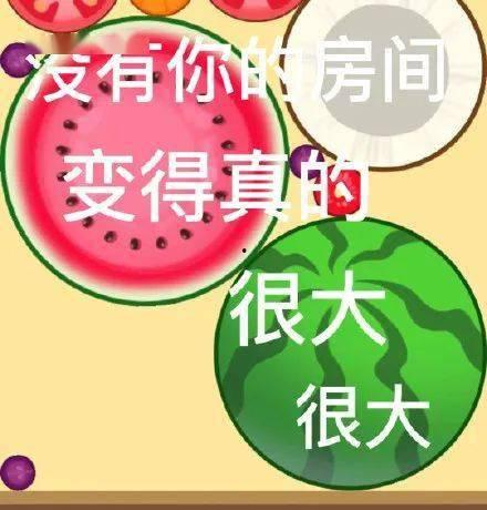 51热门今日吃瓜每日更新fun,每日吃瓜盛宴，趣味追踪今日热点事件