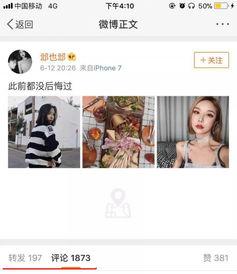 网红套路明星网名大全,明星网名大全背后的秘密