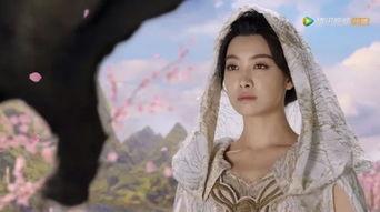 泰山明星网红是谁,探寻泰山脚下的人气网红