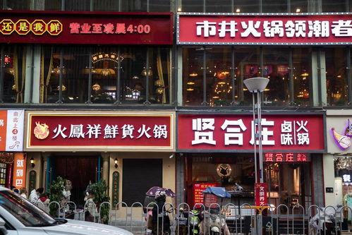 整治明星网红店案例,明星店铺的华丽转身与行业反思