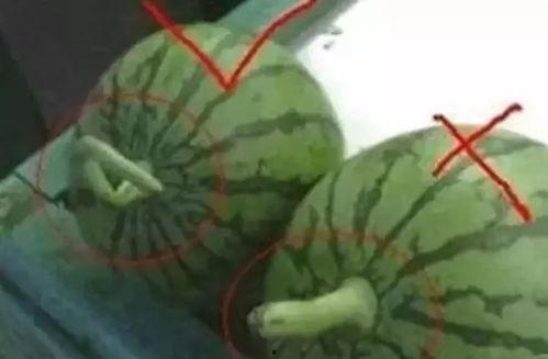 怎么找吃瓜爆料的人群呢,如何精准锁定吃瓜爆料达人